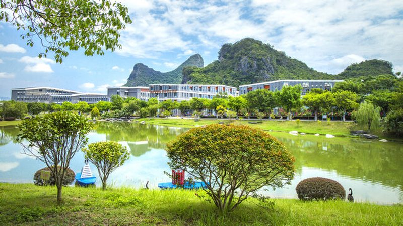 汽车连接器：连接汽车电子世界的桥梁