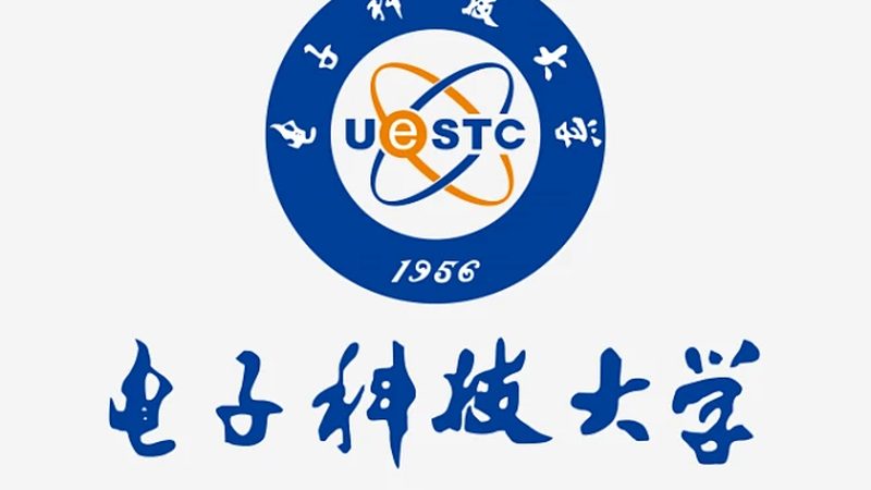 电子代工报价，如何精准把握成本与性能的平衡点？**